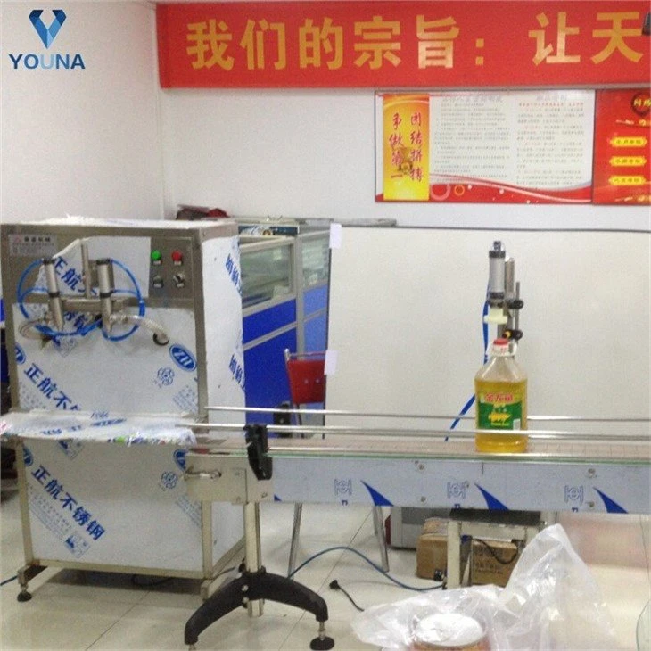 edible oil filling machinery (4)